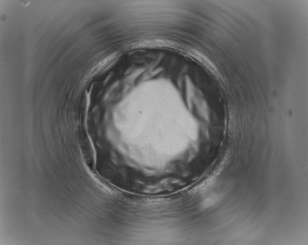 X0000074220849200609151619