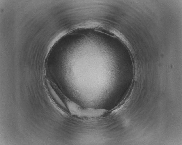 X0000074220850200609151619