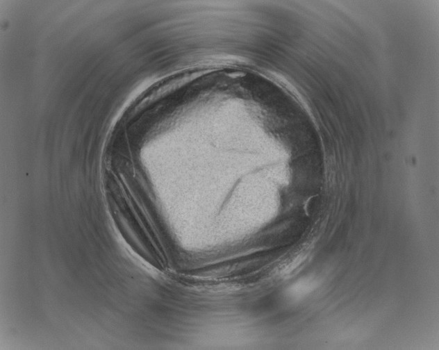 X0000074220851200609151619