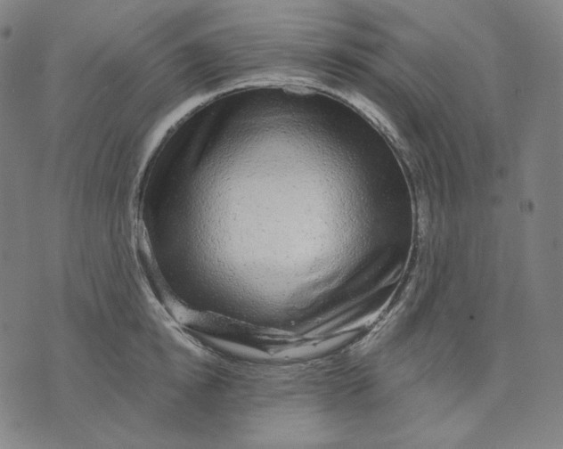 X0000074220854200609151619