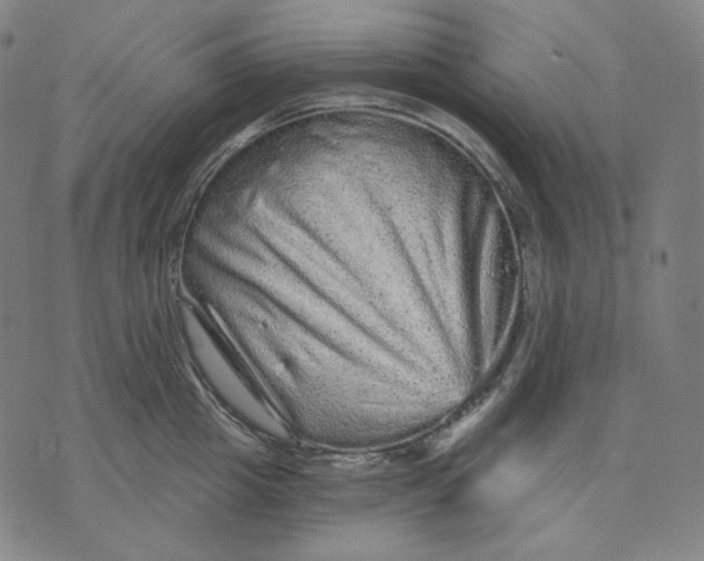 X0000074220857200609151619