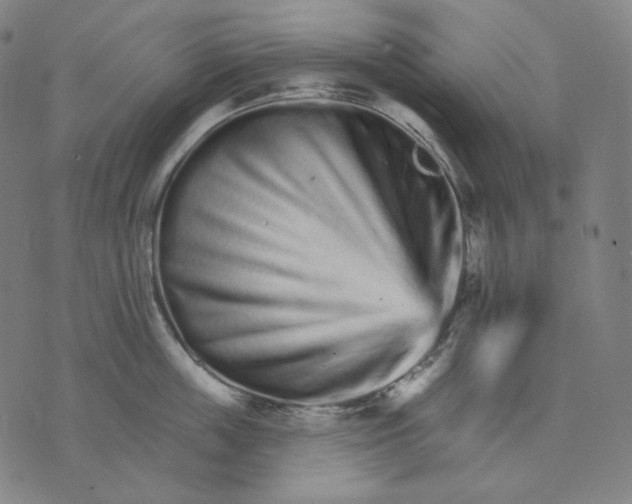 X0000074220859200609151619