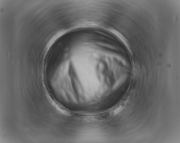 X0000074220861200609151619