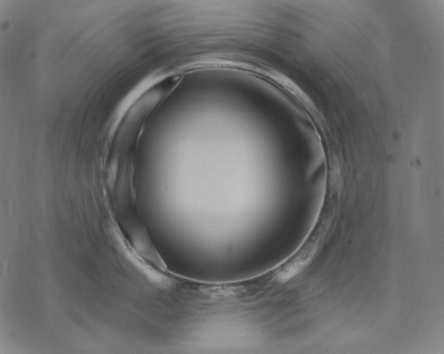 X0000074220862200609151619