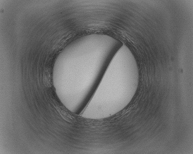 X0000074220868200609151619