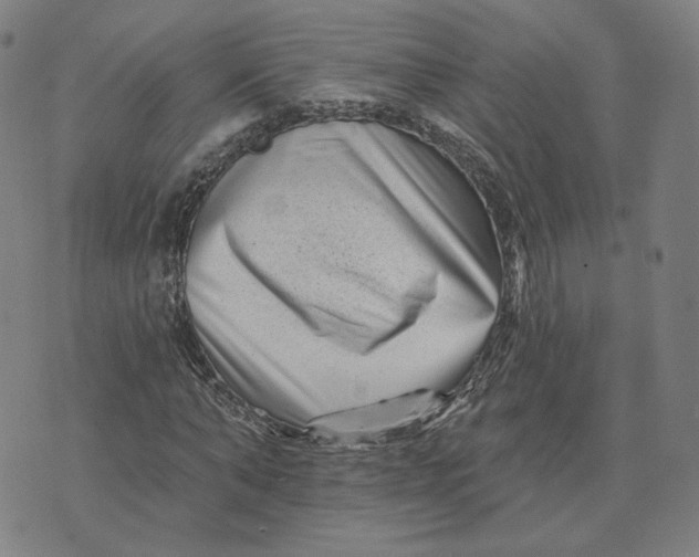 X0000074220870200609151619