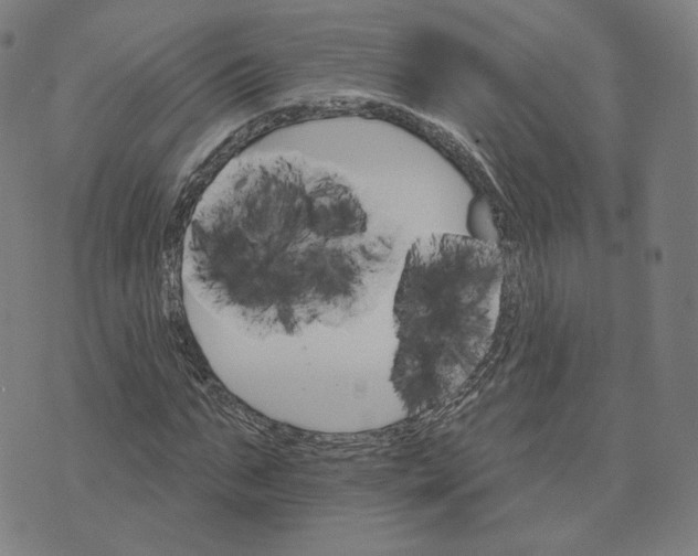 X0000074220871200609151619