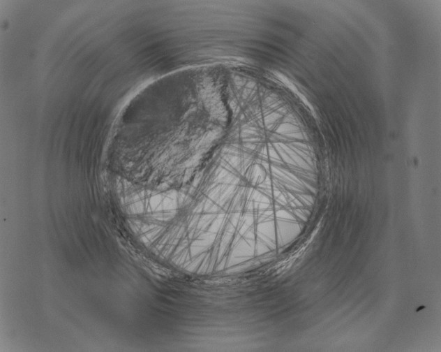 X0000074220875200609151619