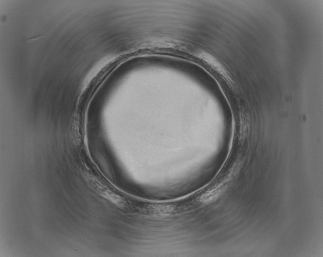X0000074220878200609151618