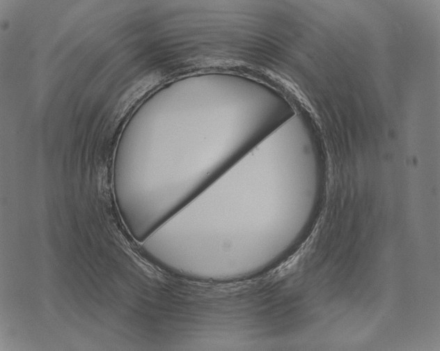 X0000074220881200609151618