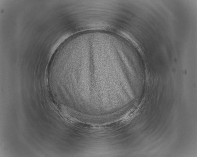 X0000074220883200609151618