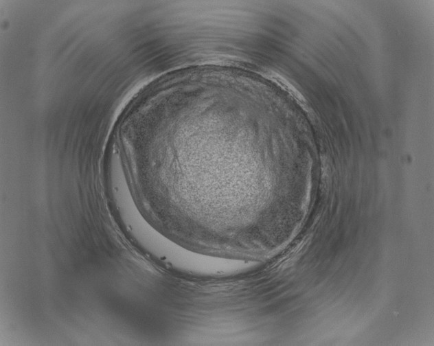 X0000074220891200609151618