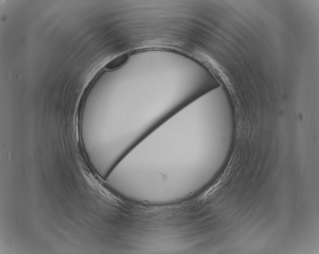X0000074220892200609151618