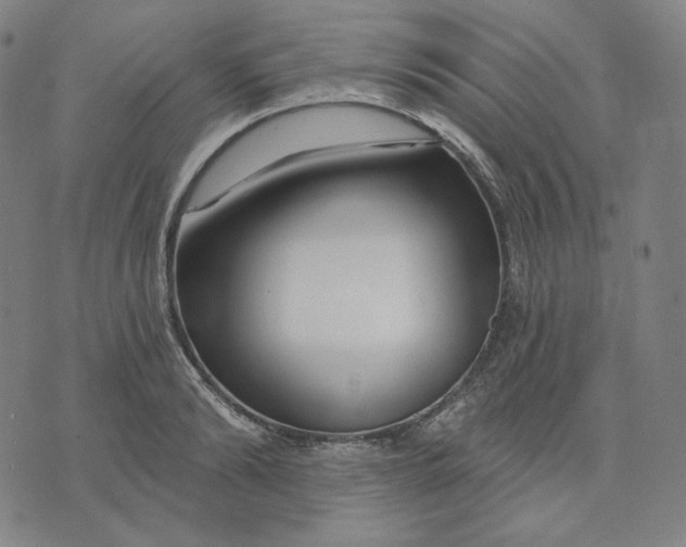 X0000074220894200609151618