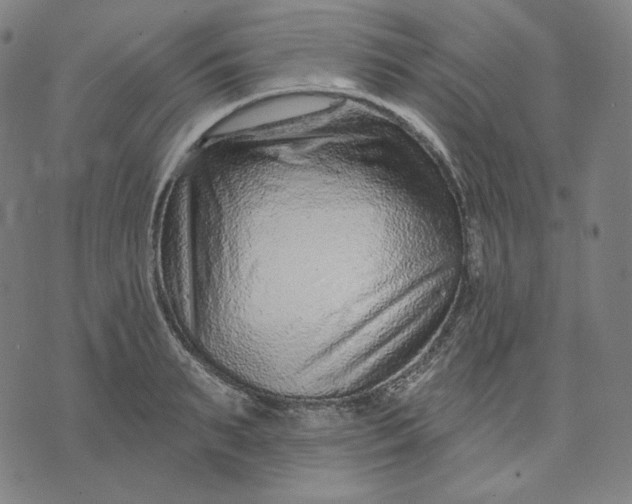 X0000074220895200609151618