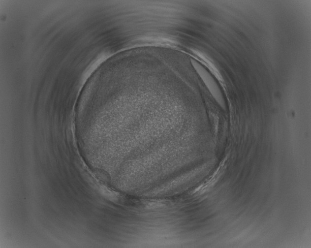 X0000074220899200609151618