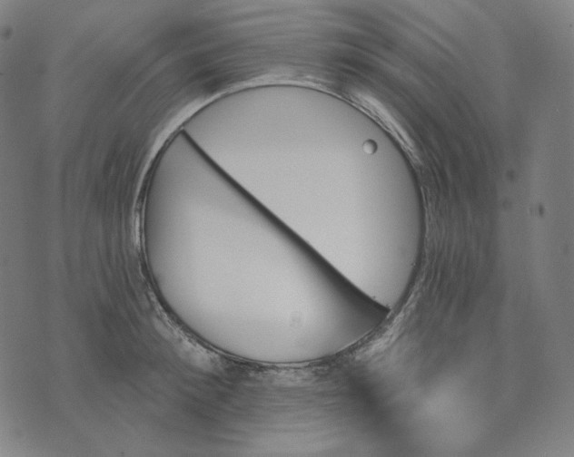X0000074220900200609151618