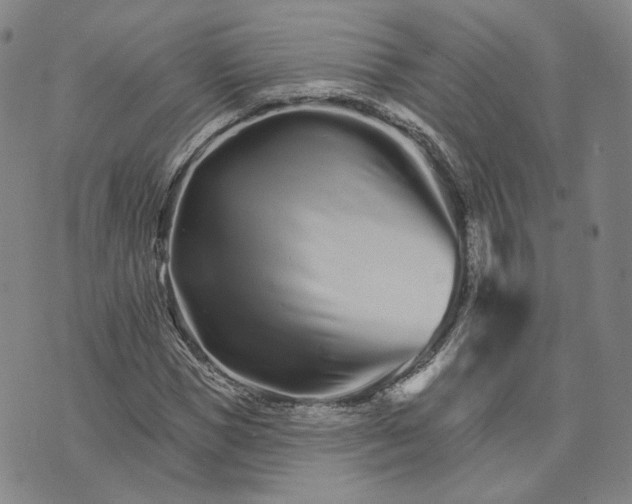 X0000074220921200609151617