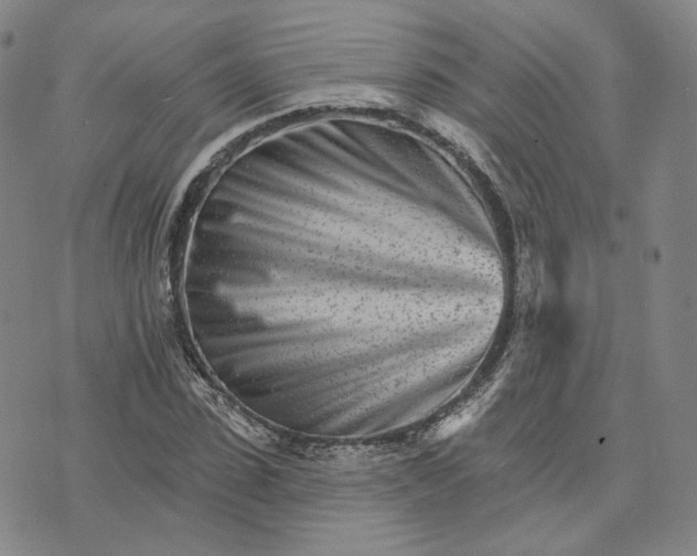 X0000074220923200609151617