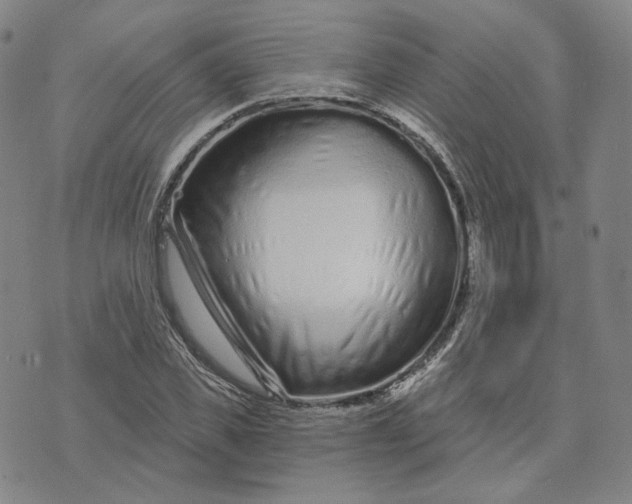X0000074220925200609151617