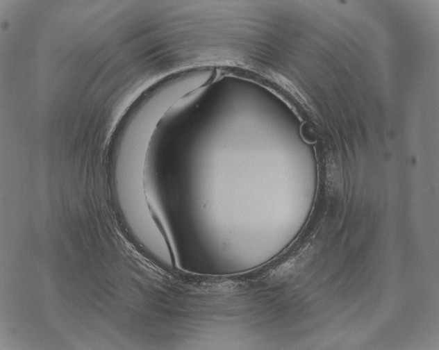 X0000074220926200609151617