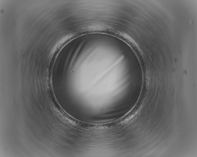 X0000074220930200609151617