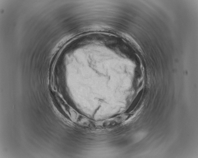 X0000074220938200609151618