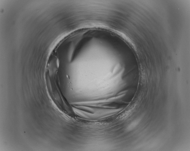 X0000074220943200609151618