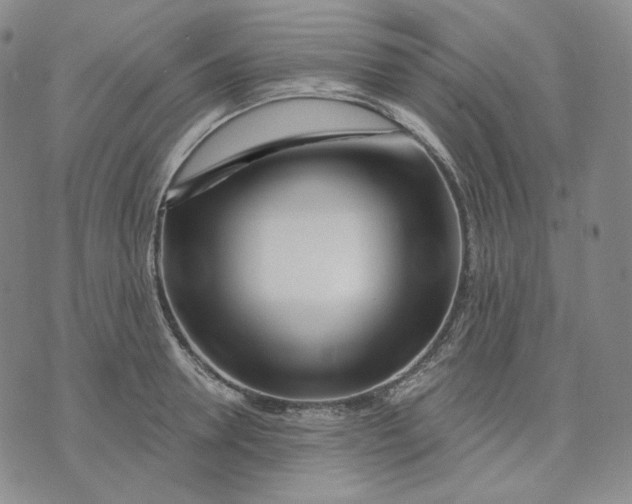 X0000074220946200609151618