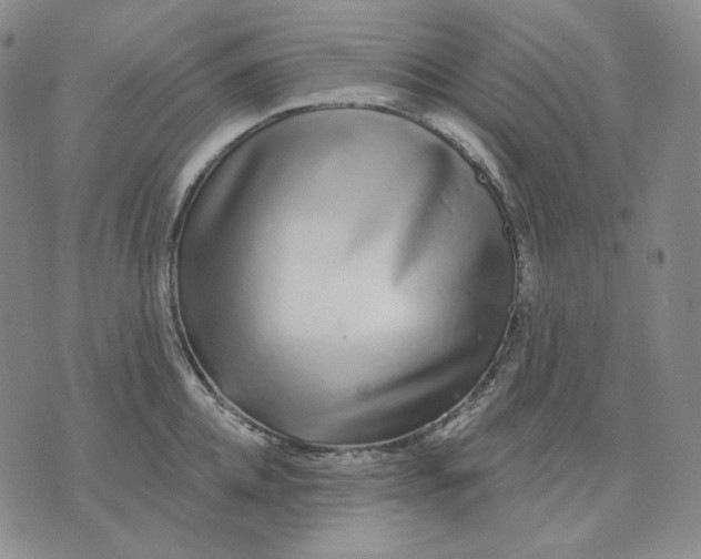 X0000074220952200609151618