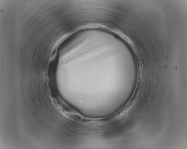 X0000074220953200609151618