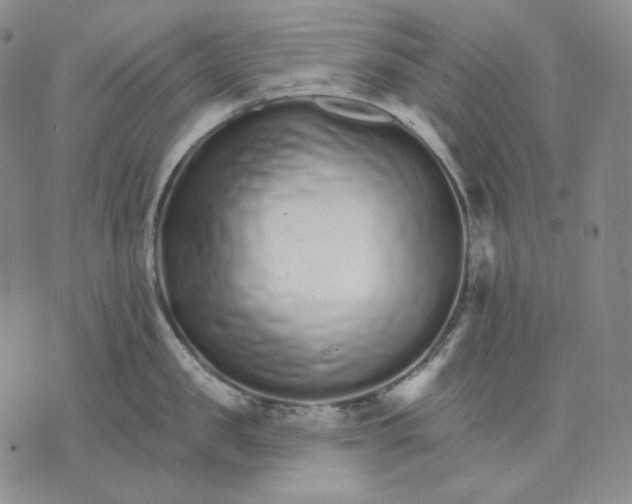 X0000074220957200609151618