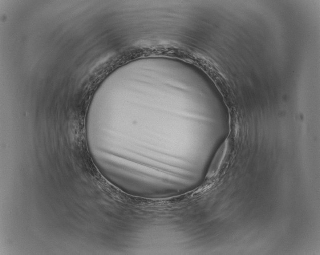 X0000074220966200609151617