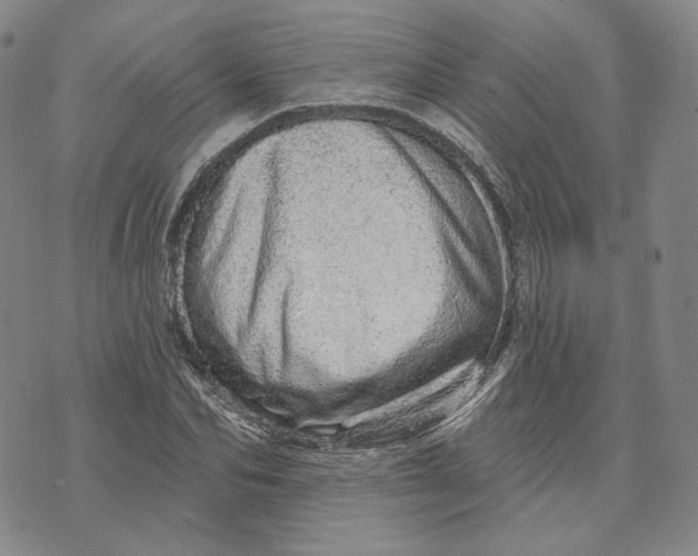 X0000074220974200609151617