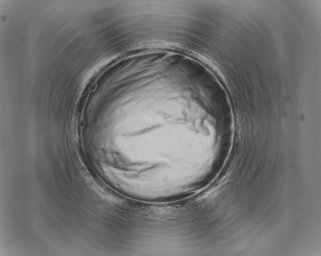 X0000074220987200609151617