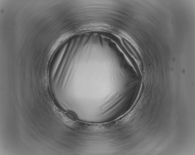 X0000074220994200609151617