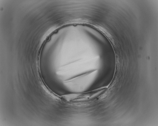 X0000074220998200609151617