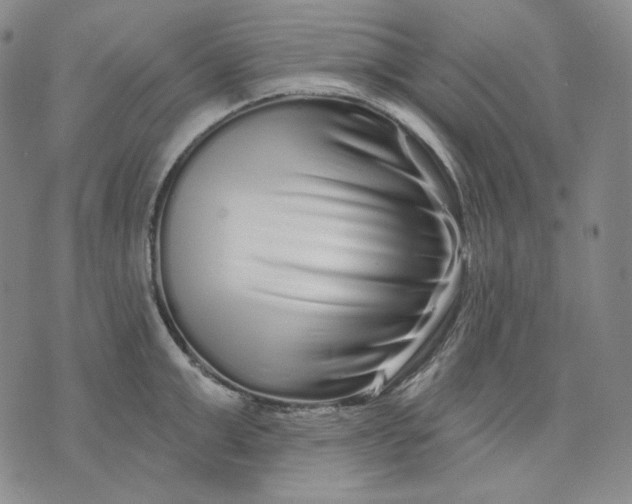 X0000074220999200609151617