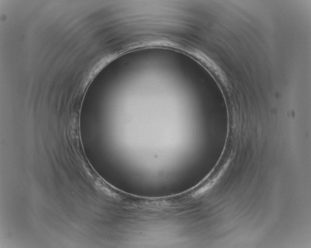 X0000074221001200609151617