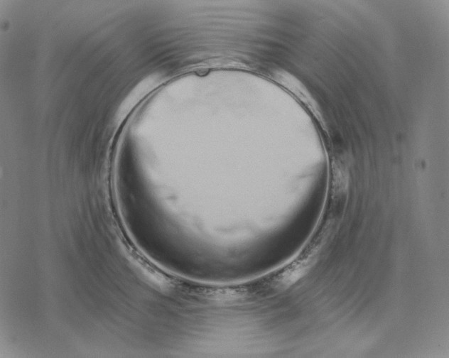 X0000074221002200609151616
