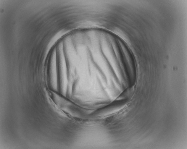 X0000074221008200609151616