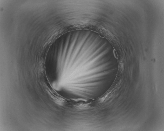 X0000074221012200609151616