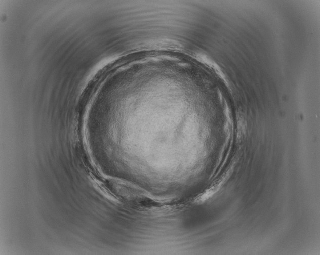 X0000074221019200609151616