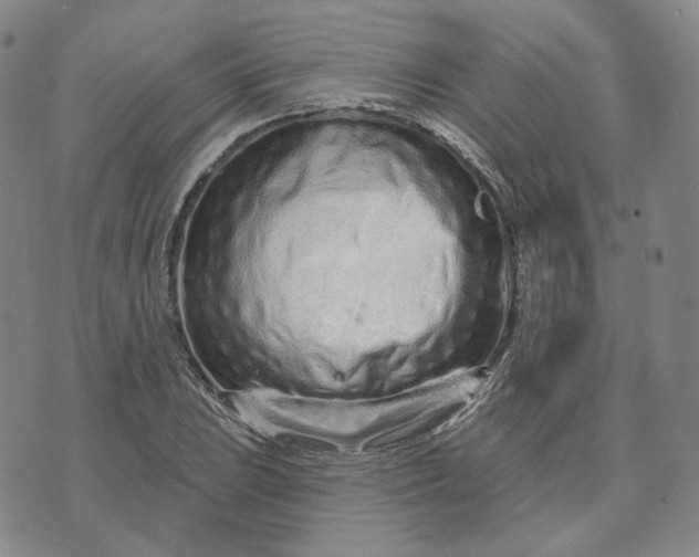 X0000074221023200609151616