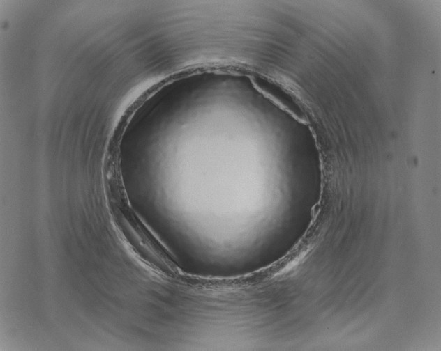 X0000074221030200609151616
