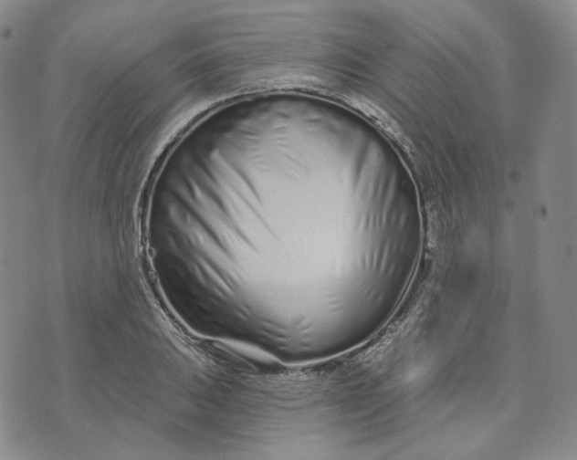 X0000074221031200609151616