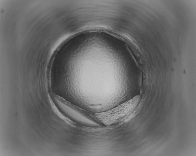 X0000074221038200609151616
