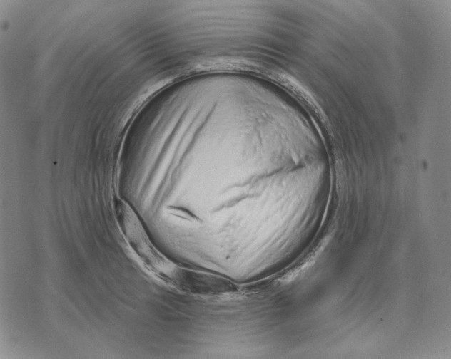 X0000074221041200609151616