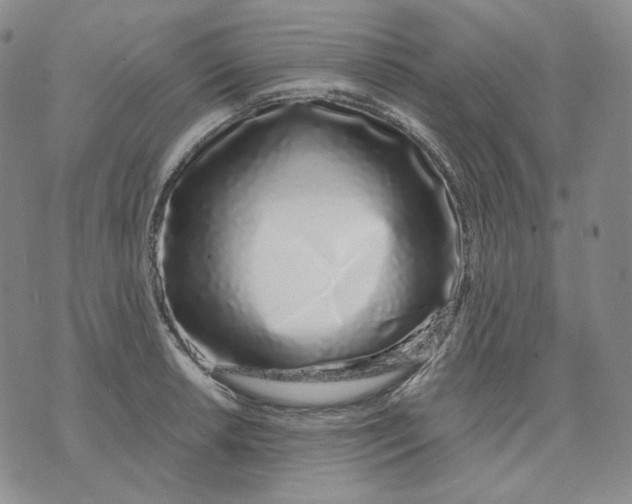 X0000074221042200609151616