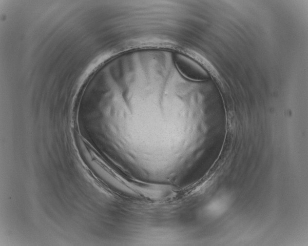 X0000074221043200609151616